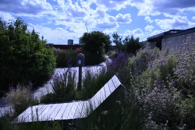 DSC_1690 (Large).JPG